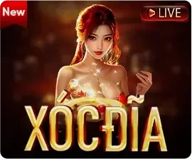 slider xóc đĩa